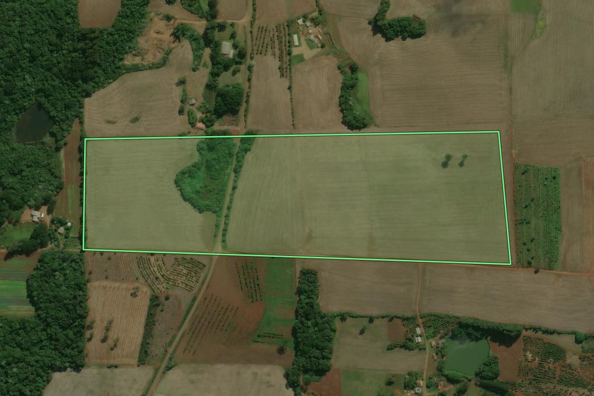 Imagem de satélite do imóvel rural em Áurea (RS), com o contorno declarado no CAR desenhado por cima.