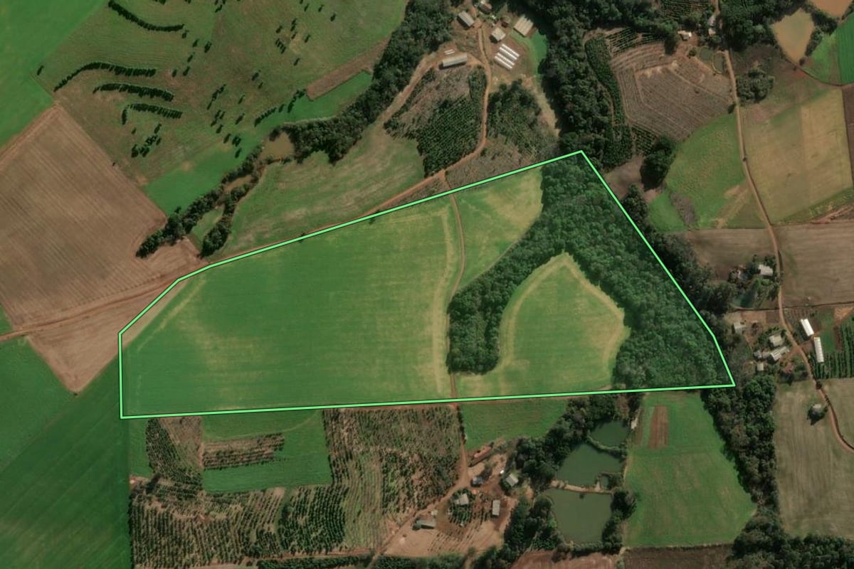 Imagem de satélite do imóvel rural em Áurea (RS), com o contorno declarado no CAR desenhado por cima.