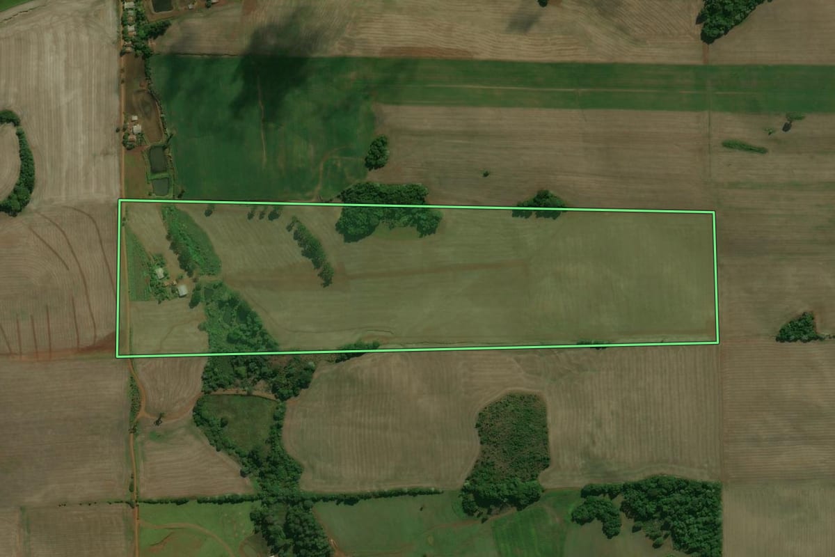 Imagem de satélite do imóvel rural em Áurea (RS), com o contorno declarado no CAR desenhado por cima.