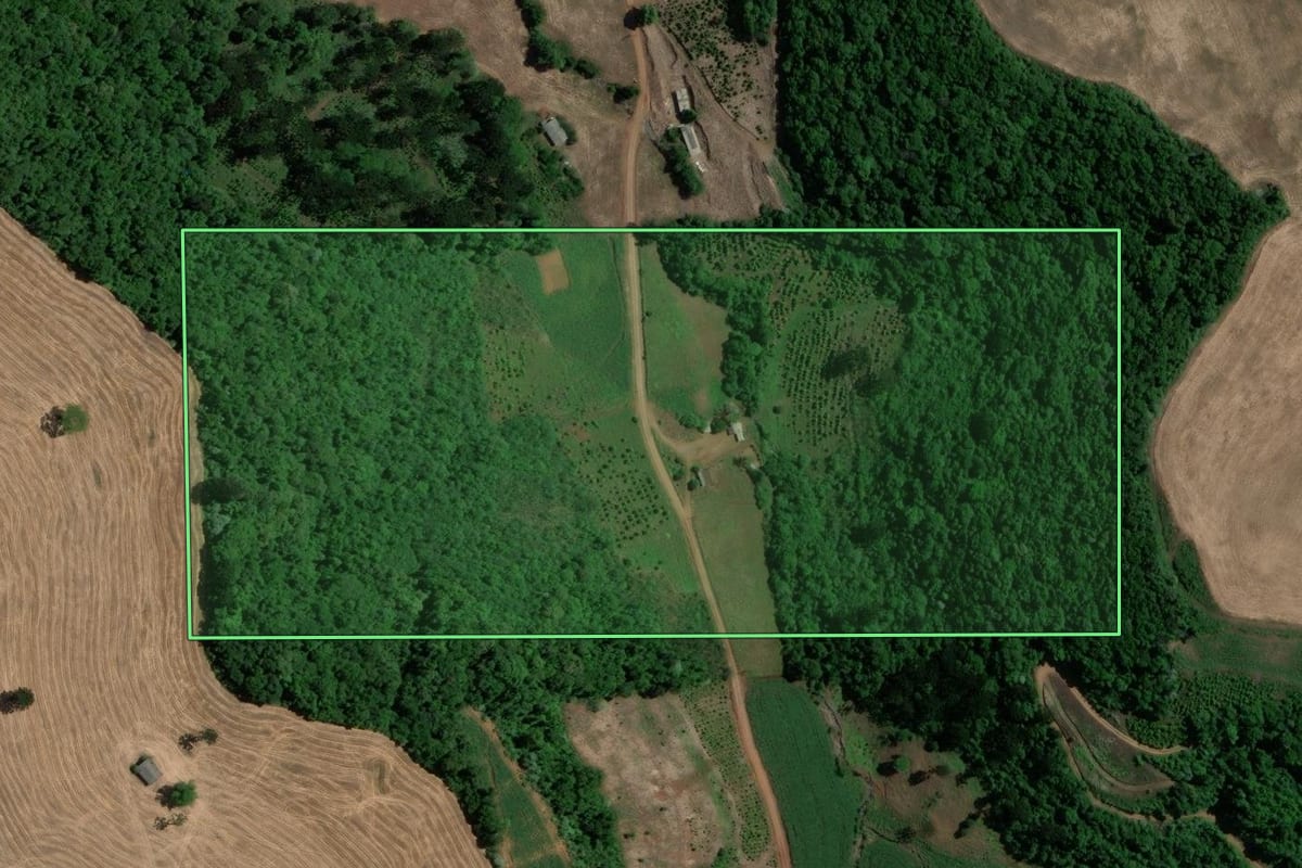 Imagem de satélite do imóvel rural em Áurea (RS), com o contorno declarado no CAR desenhado por cima.