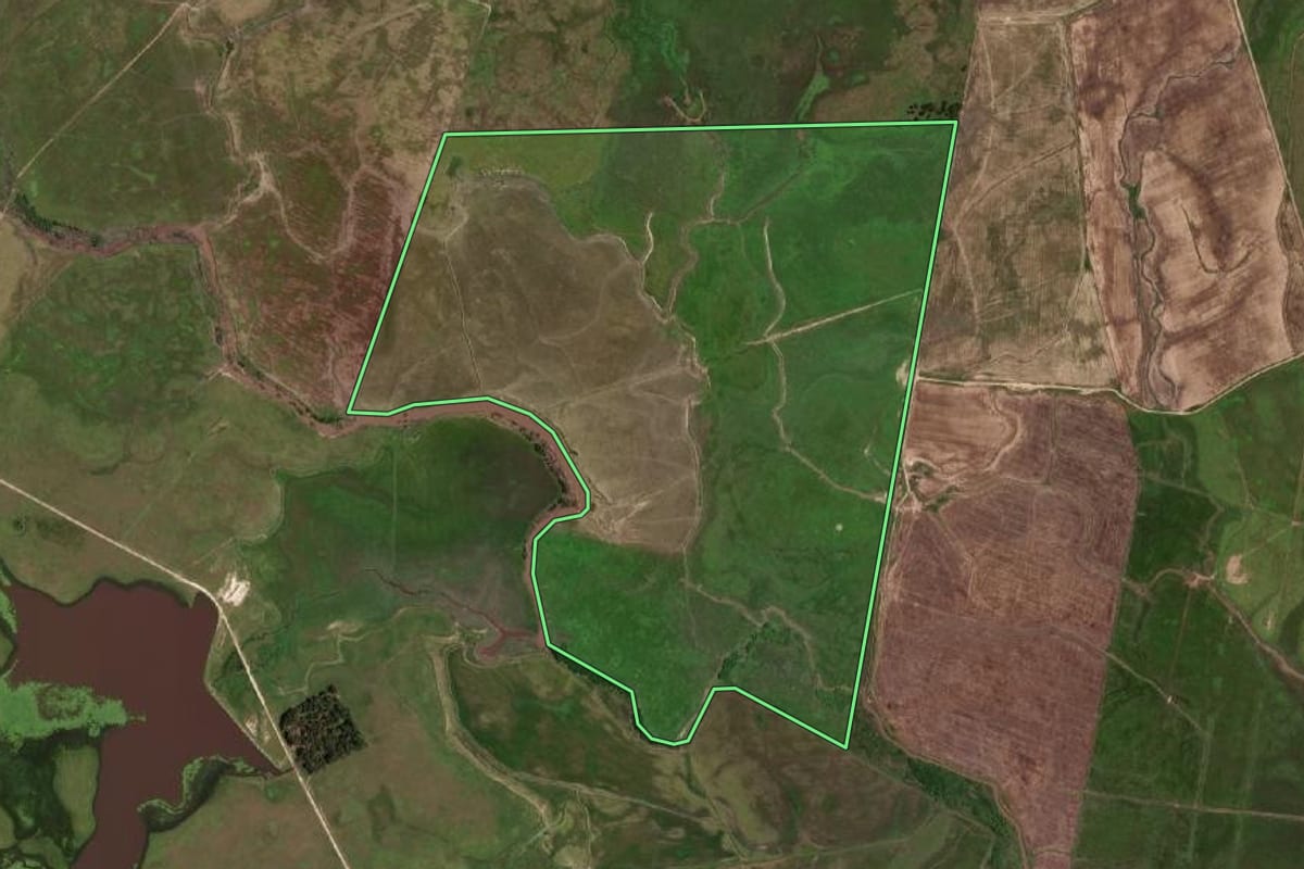 Imagem de satélite do imóvel rural em Bagé (RS), com o contorno declarado no CAR desenhado por cima.