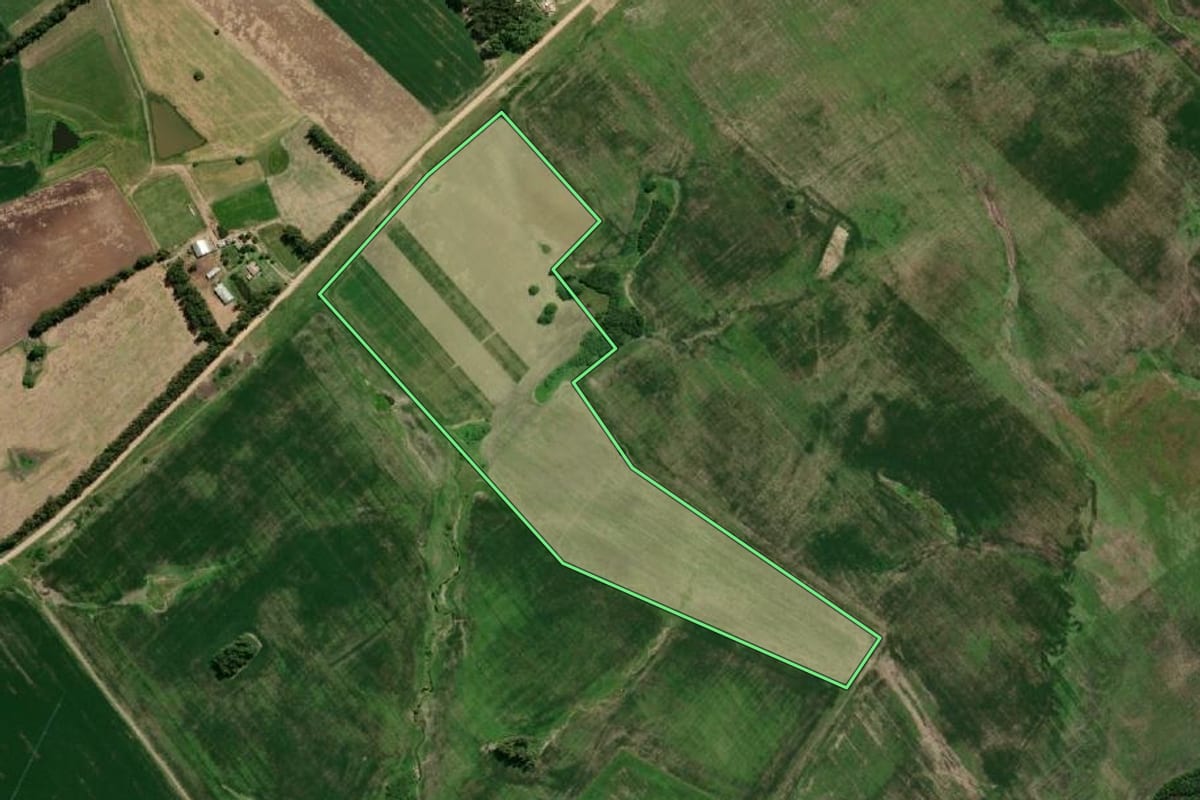 Imagem de satélite do imóvel rural em Bagé (RS), com o contorno declarado no CAR desenhado por cima.