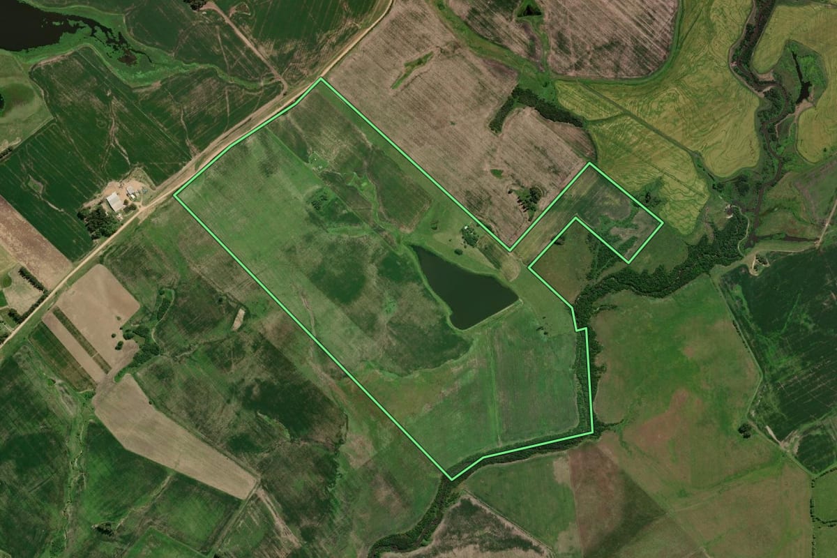 Imagem de satélite do imóvel rural em Bagé (RS), com o contorno declarado no CAR desenhado por cima.