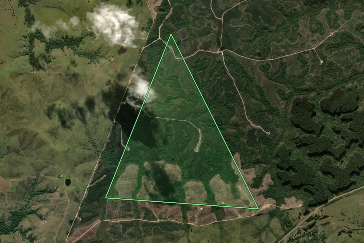 Imagem de satélite do imóvel rural em Bagé (RS), com o contorno declarado no CAR desenhado por cima.