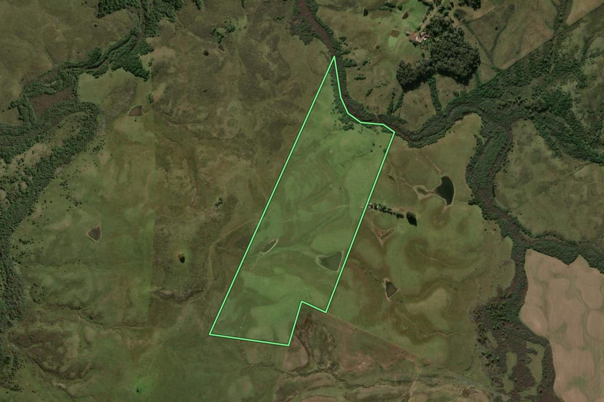 Imagem de satélite do imóvel rural em Bagé (RS), com o contorno declarado no CAR desenhado por cima.