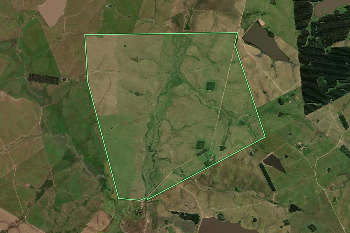 Imagem de satélite do imóvel rural em Bagé (RS), com o contorno declarado no CAR desenhado por cima.