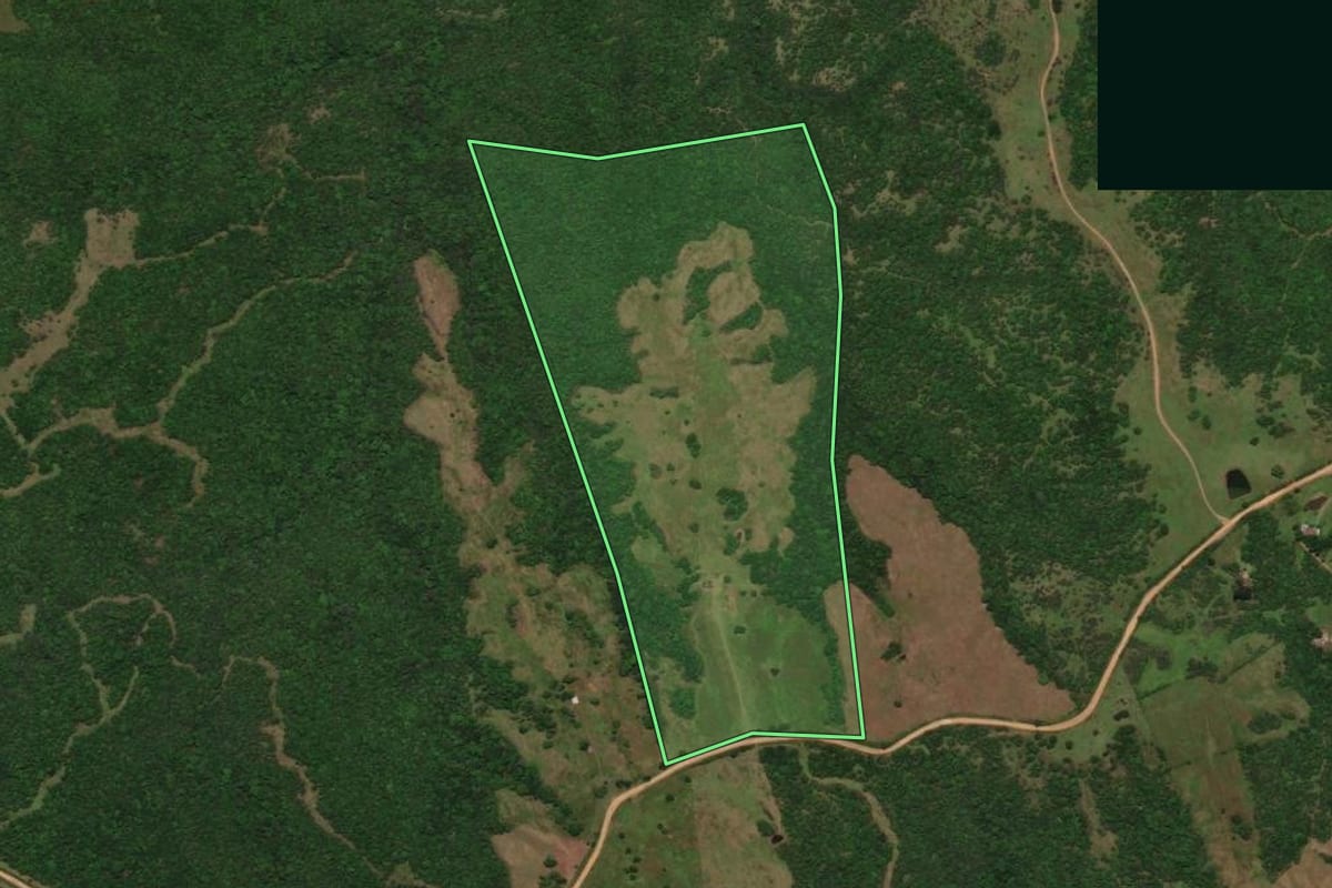 Imagem de satélite do imóvel rural em Bagé (RS), com o contorno declarado no CAR desenhado por cima.