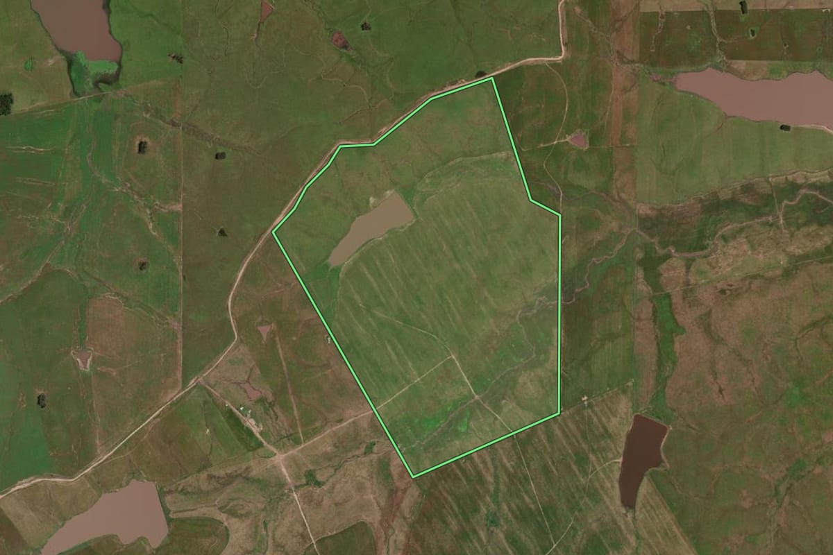 Imagem de satélite do imóvel rural em Bagé (RS), com o contorno declarado no CAR desenhado por cima.