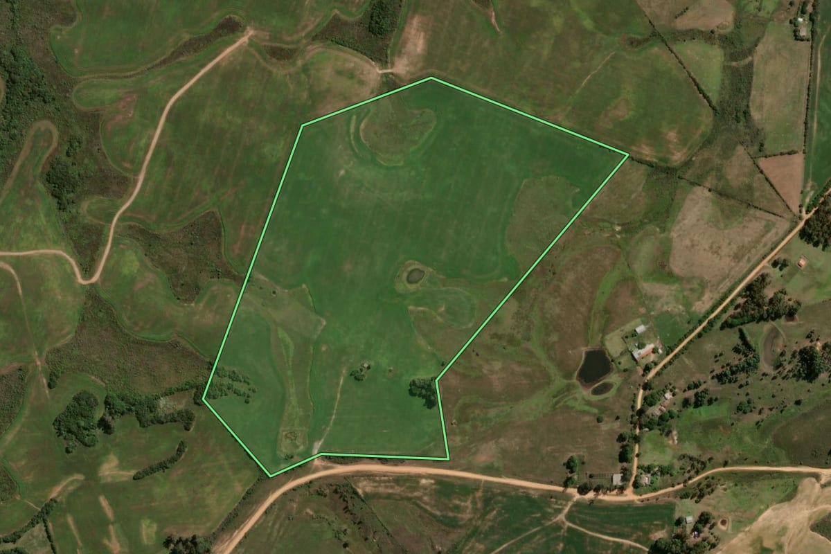 Imagem de satélite do imóvel rural em Bagé (RS), com o contorno declarado no CAR desenhado por cima.