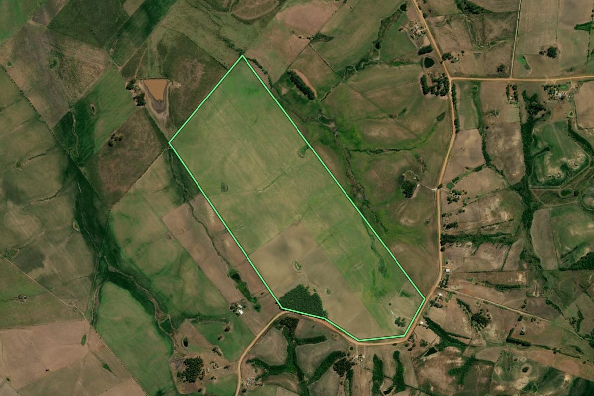 Imagem de satélite do imóvel rural em Bagé (RS), com o contorno declarado no CAR desenhado por cima.