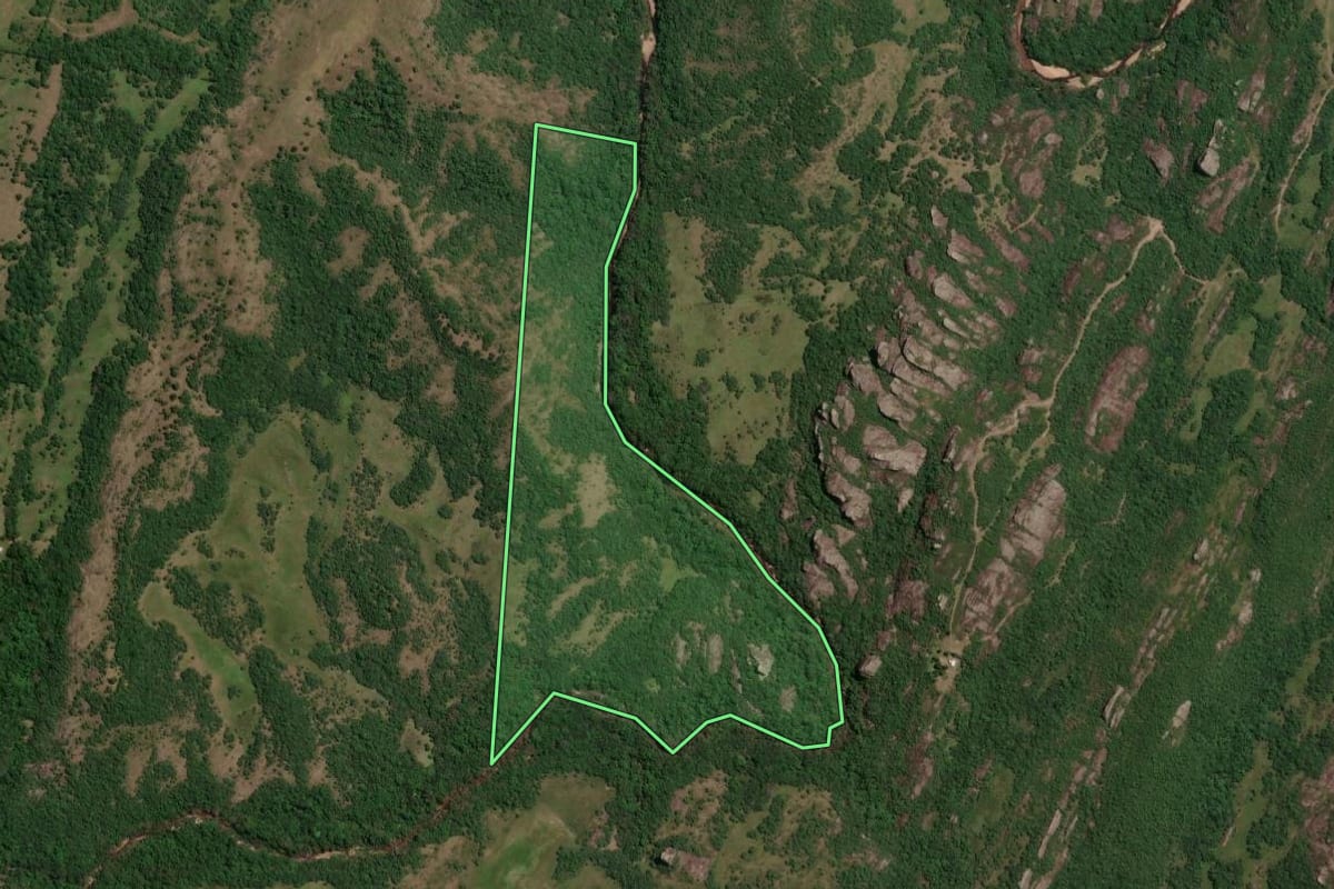 Imagem de satélite do imóvel rural em Bagé (RS), com o contorno declarado no CAR desenhado por cima.