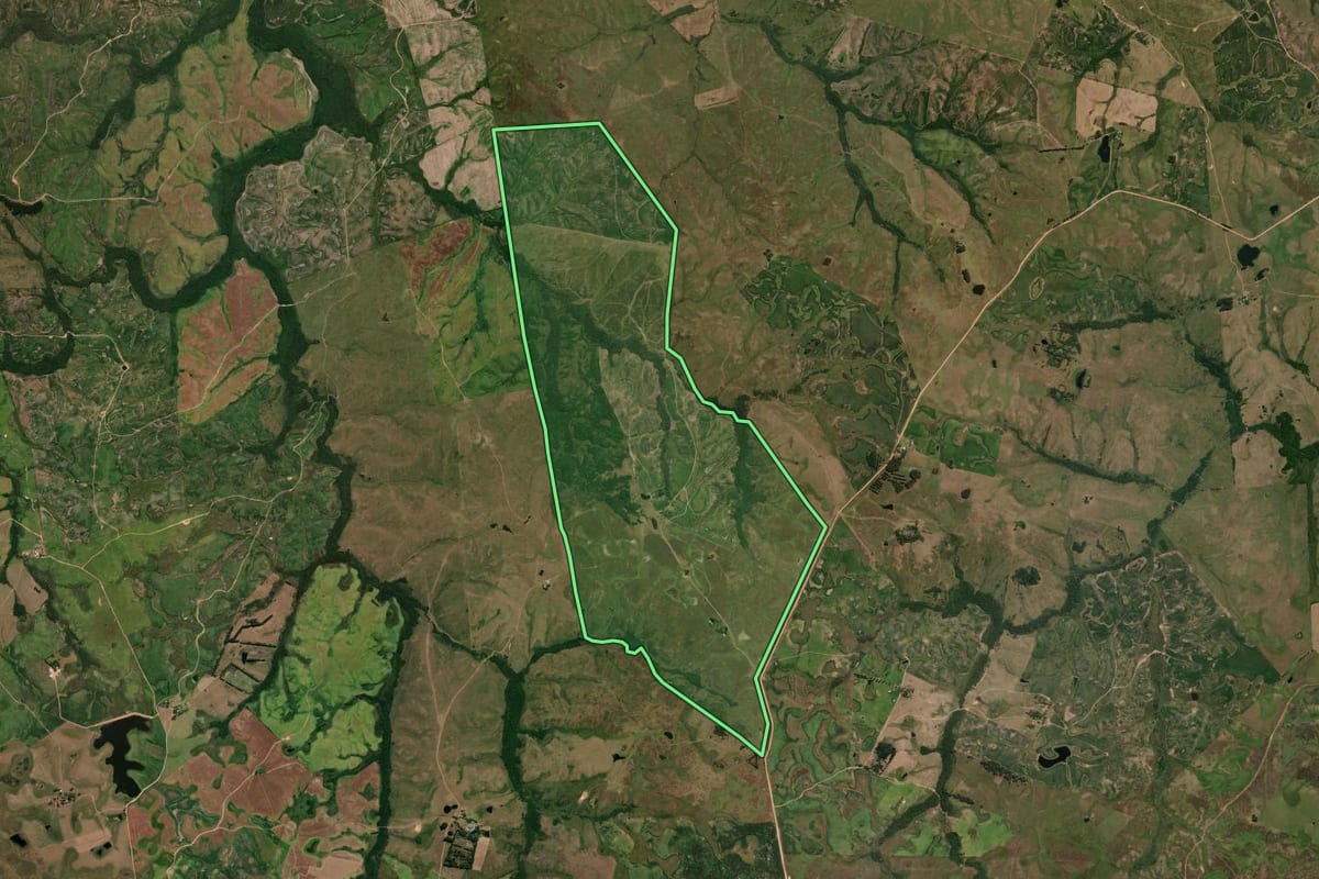 Imagem de satélite do imóvel rural em Bagé (RS), com o contorno declarado no CAR desenhado por cima.
