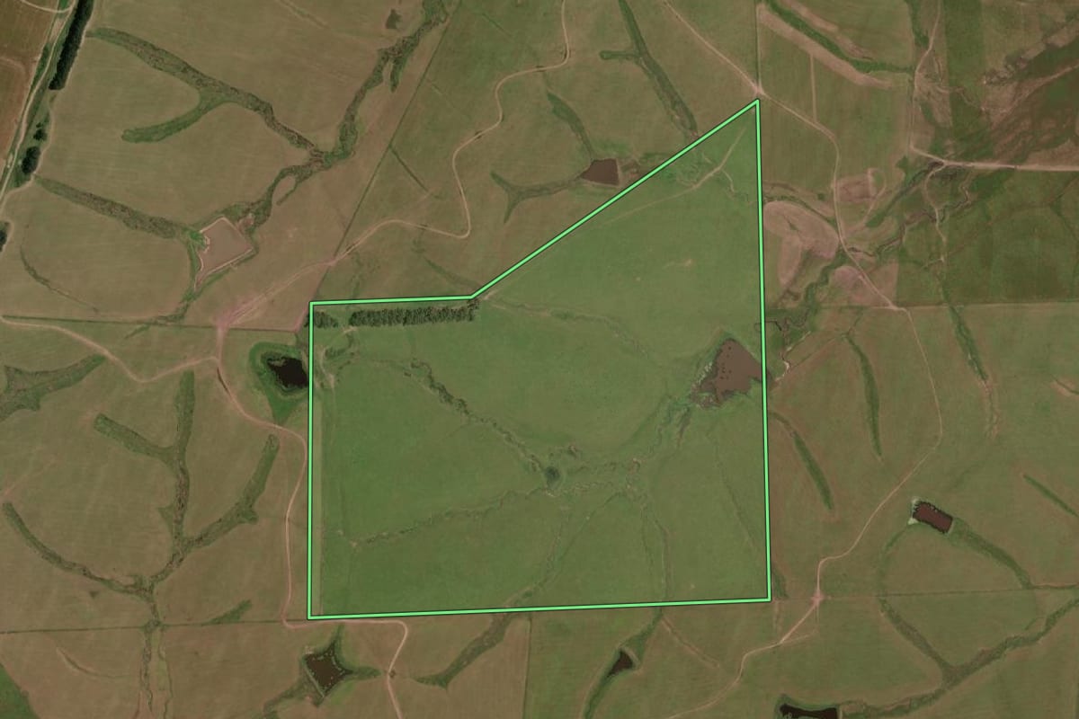Imagem de satélite do imóvel rural em Bagé (RS), com o contorno declarado no CAR desenhado por cima.