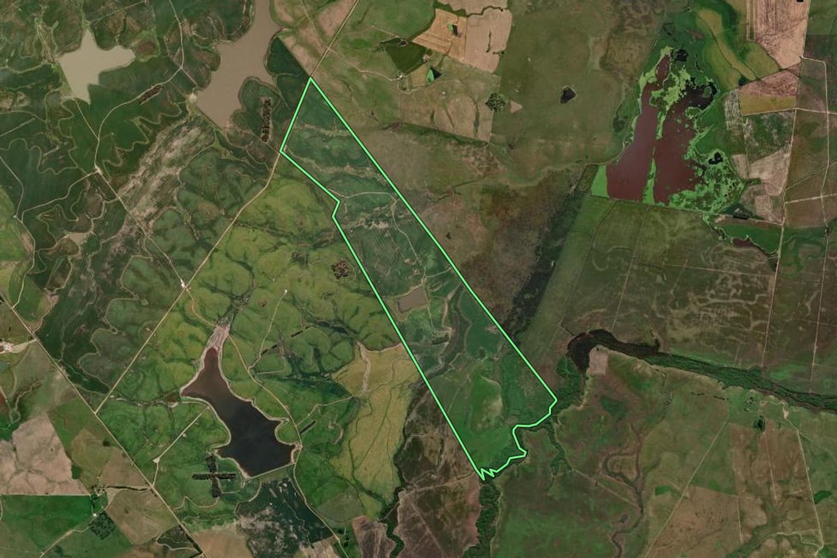 Imagem de satélite do imóvel rural em Bagé (RS), com o contorno declarado no CAR desenhado por cima.