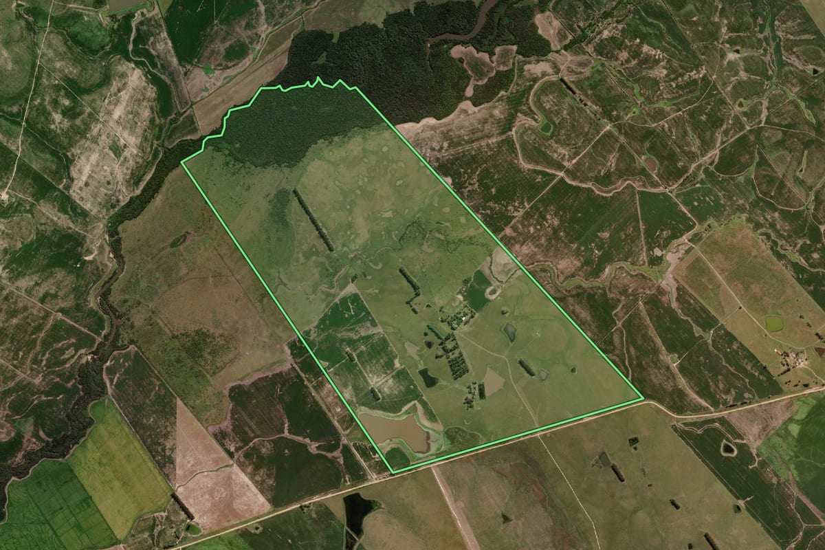 Imagem de satélite do imóvel rural em Bagé (RS), com o contorno declarado no CAR desenhado por cima.