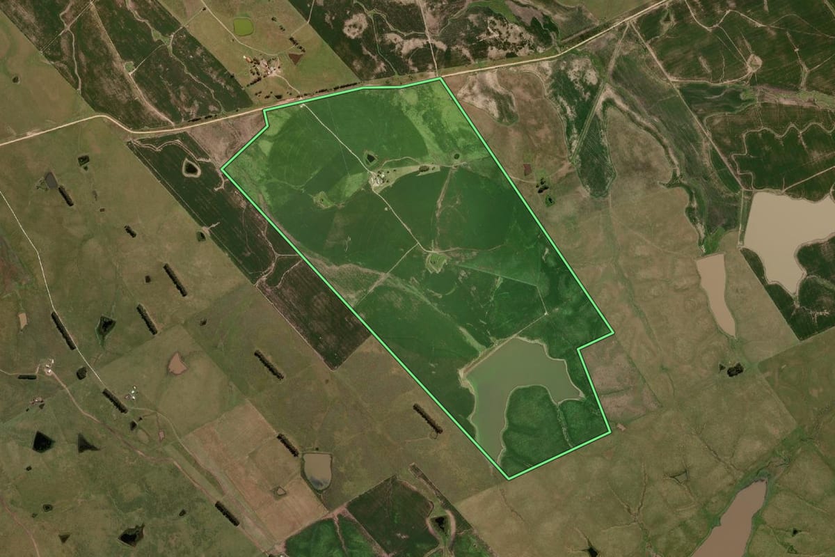 Imagem de satélite do imóvel rural em Bagé (RS), com o contorno declarado no CAR desenhado por cima.