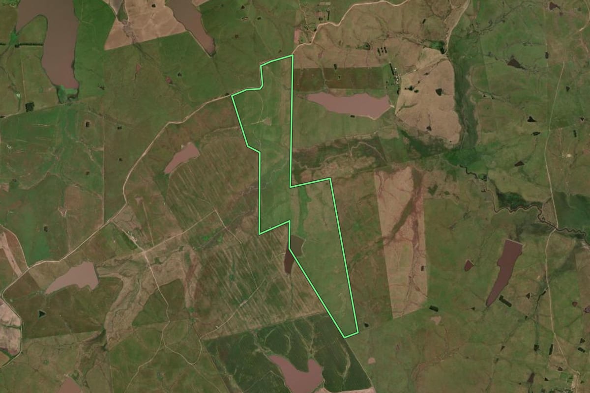 Imagem de satélite do imóvel rural em Bagé (RS), com o contorno declarado no CAR desenhado por cima.