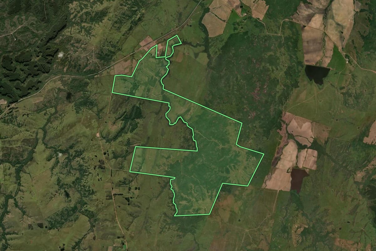 Imagem de satélite do imóvel rural em Bagé (RS), com o contorno declarado no CAR desenhado por cima.