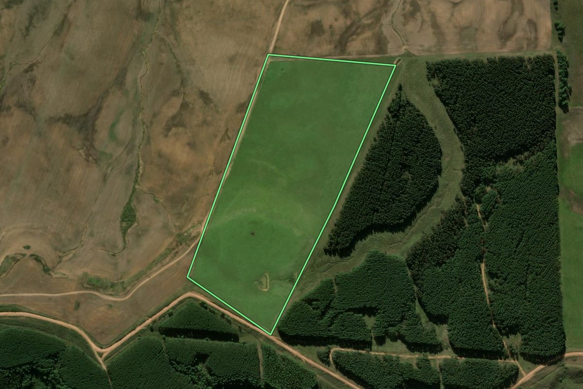 Imagem de satélite do imóvel rural em Bagé (RS), com o contorno declarado no CAR desenhado por cima.