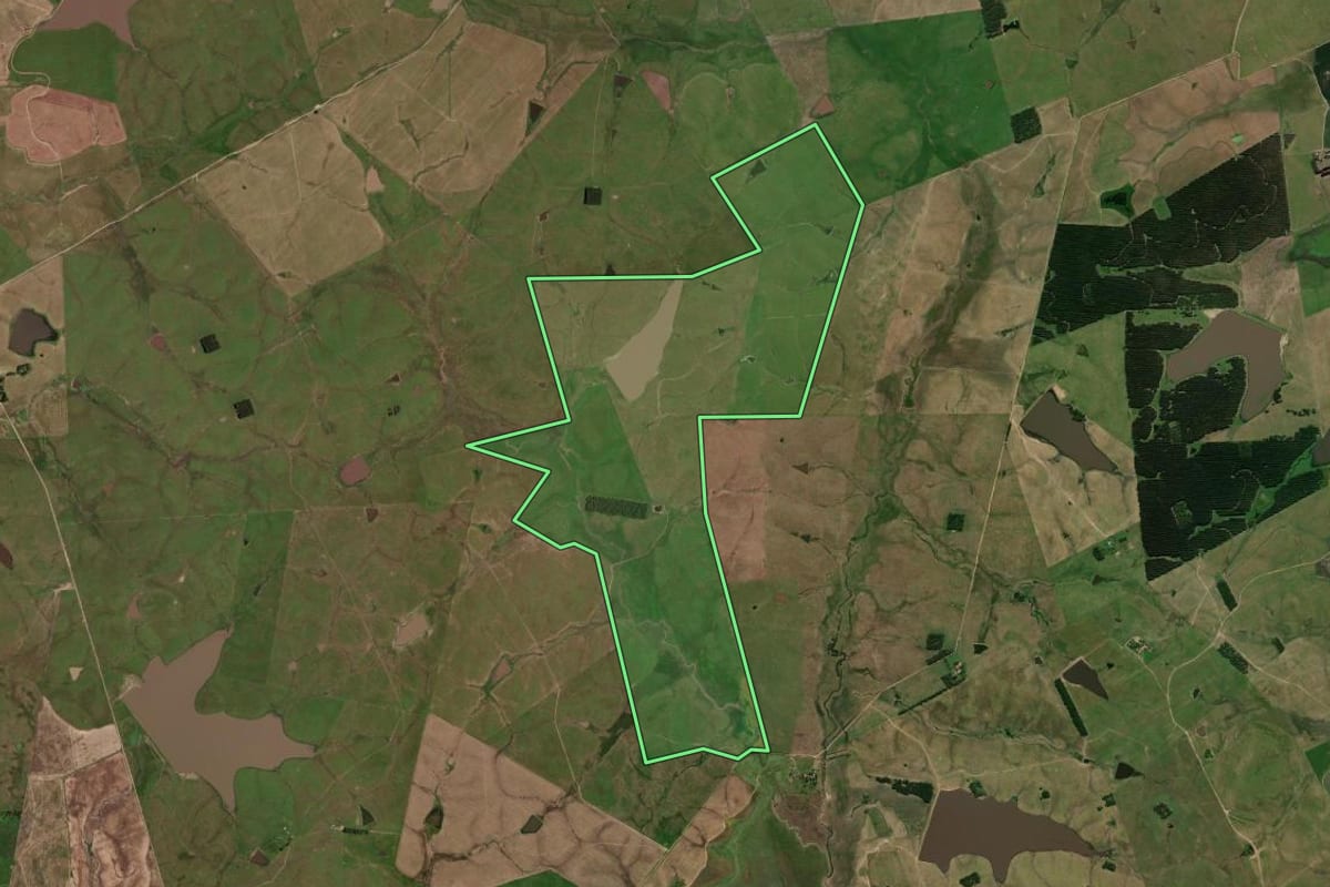 Imagem de satélite do imóvel rural em Bagé (RS), com o contorno declarado no CAR desenhado por cima.
