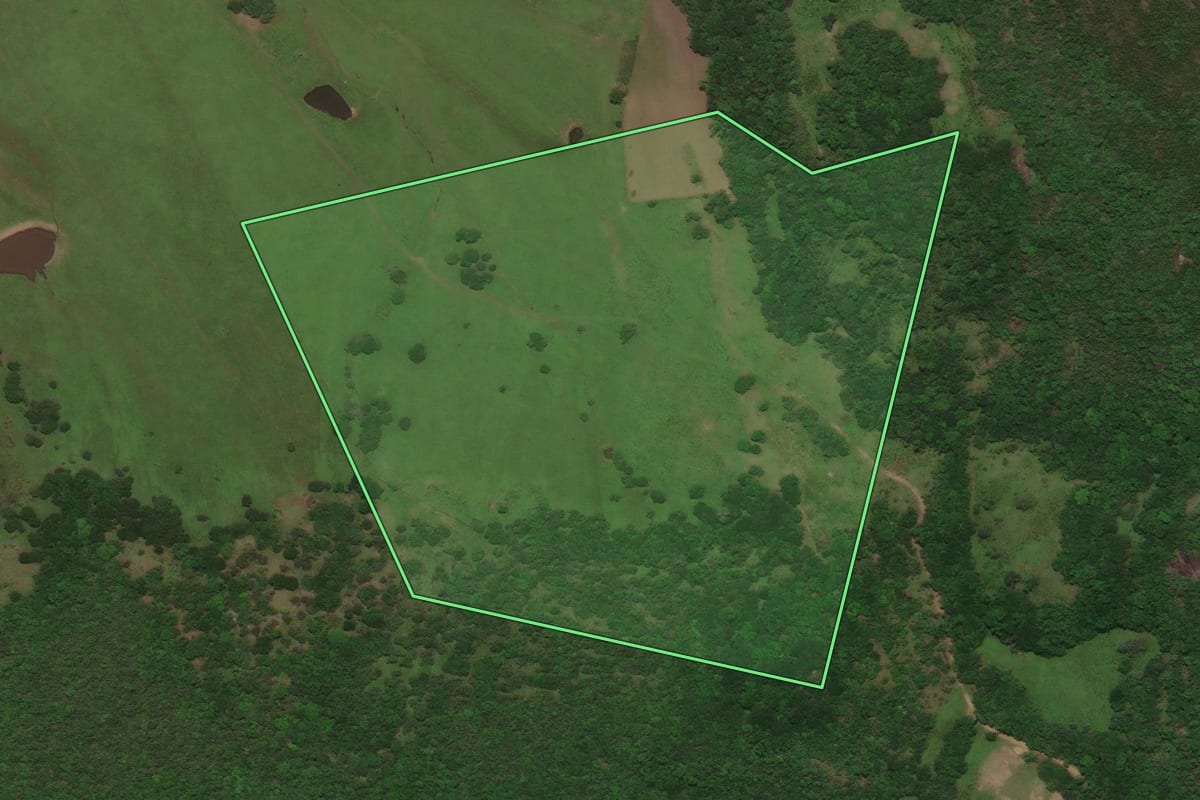 Imagem de satélite do imóvel rural em Bagé (RS), com o contorno declarado no CAR desenhado por cima.