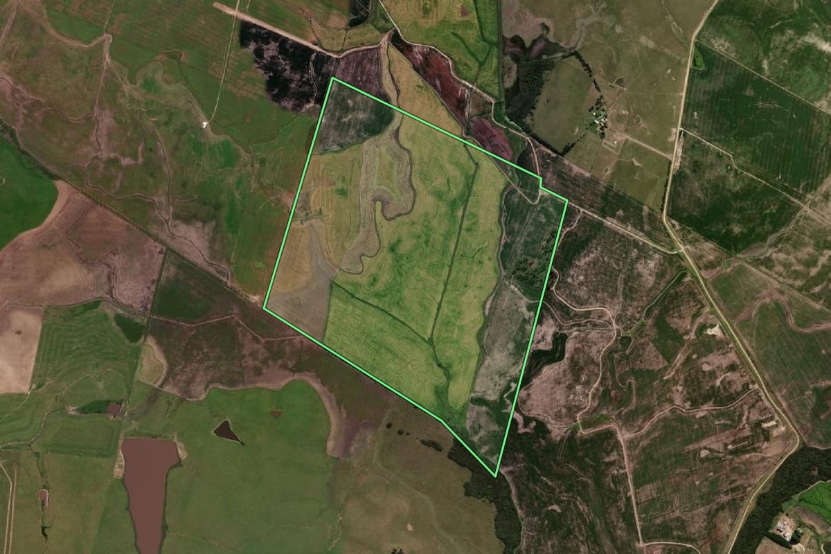 Imagem de satélite do imóvel rural em Bagé (RS), com o contorno declarado no CAR desenhado por cima.