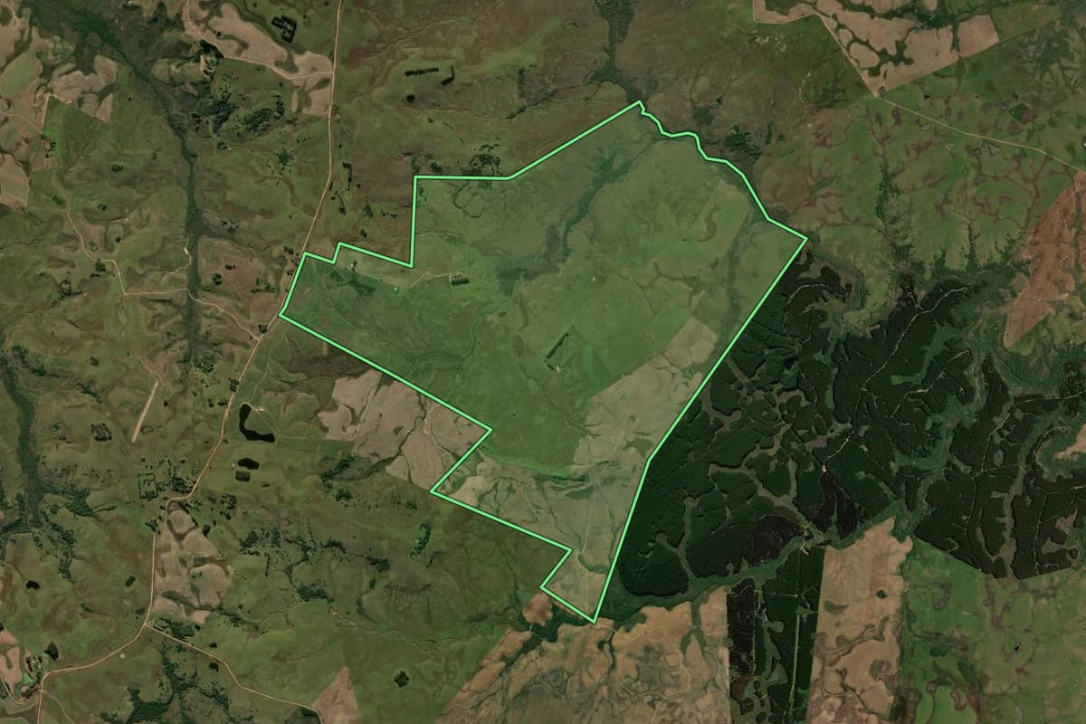 Imagem de satélite do imóvel rural em Bagé (RS), com o contorno declarado no CAR desenhado por cima.