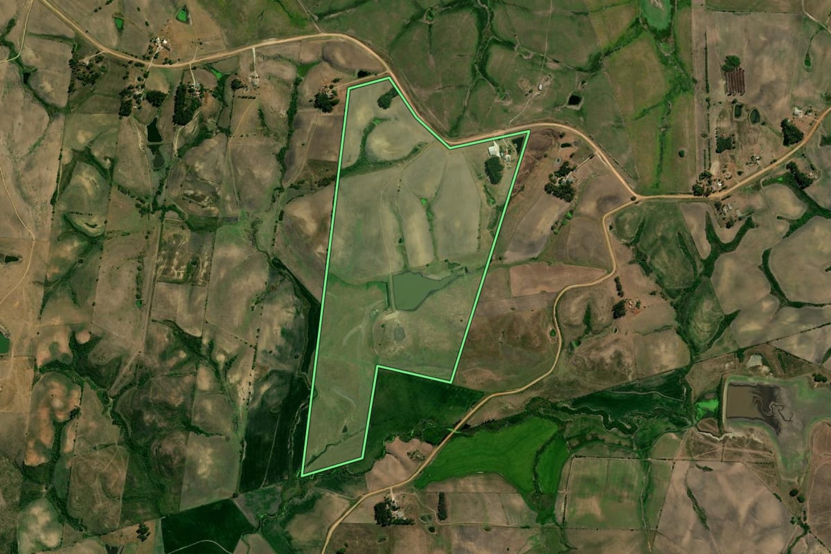 Imagem de satélite do imóvel rural em Bagé (RS), com o contorno declarado no CAR desenhado por cima.