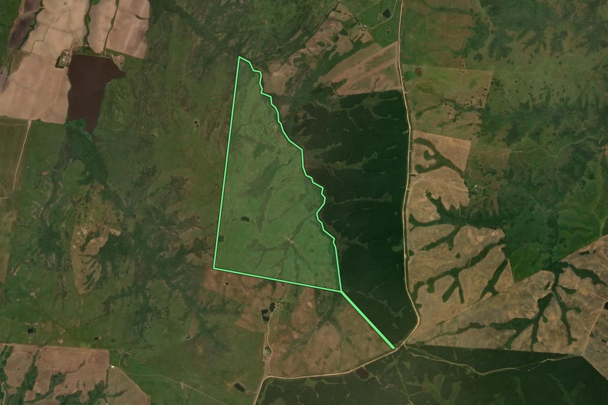 Imagem de satélite do imóvel rural em Bagé (RS), com o contorno declarado no CAR desenhado por cima.