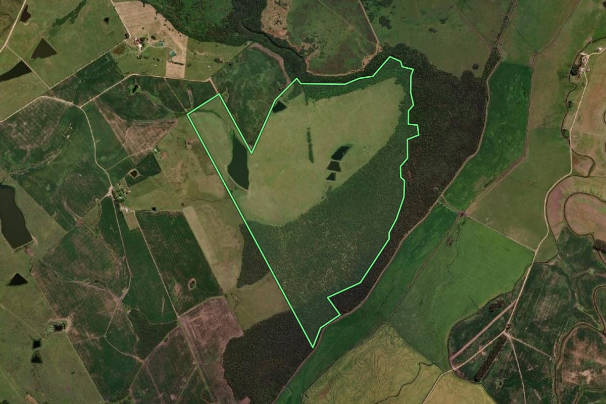 Imagem de satélite do imóvel rural em Bagé (RS), com o contorno declarado no CAR desenhado por cima.