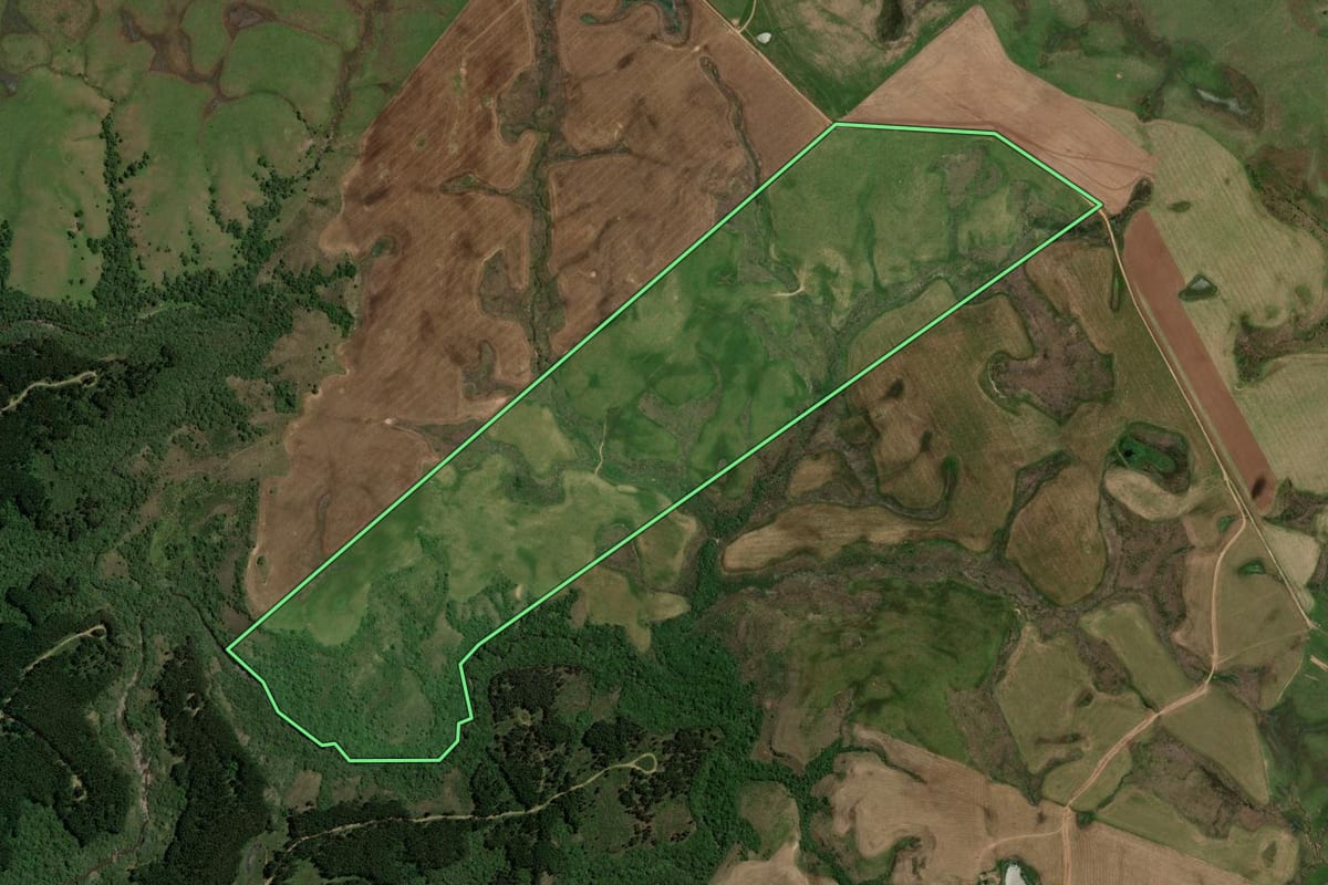 Imagem de satélite do imóvel rural em Bagé (RS), com o contorno declarado no CAR desenhado por cima.