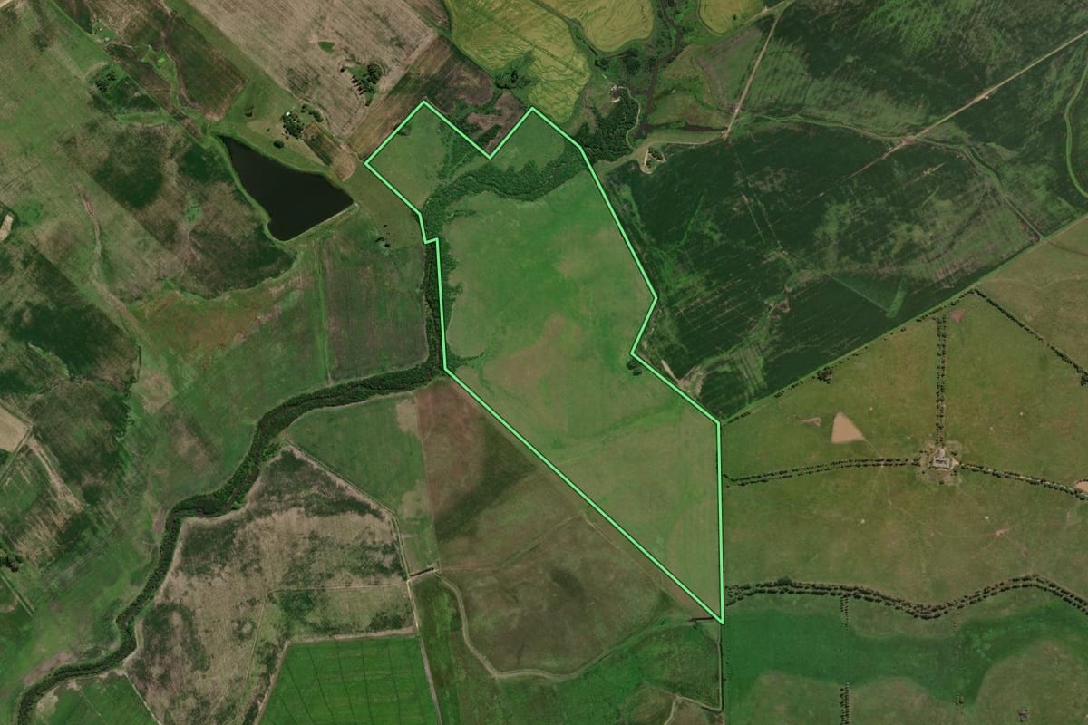 Imagem de satélite do imóvel rural em Bagé (RS), com o contorno declarado no CAR desenhado por cima.