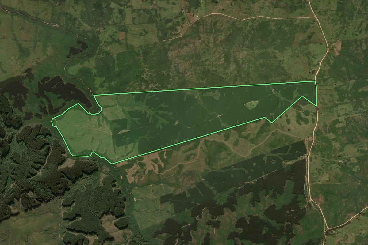 Imagem de satélite do imóvel rural em Bagé (RS), com o contorno declarado no CAR desenhado por cima.
