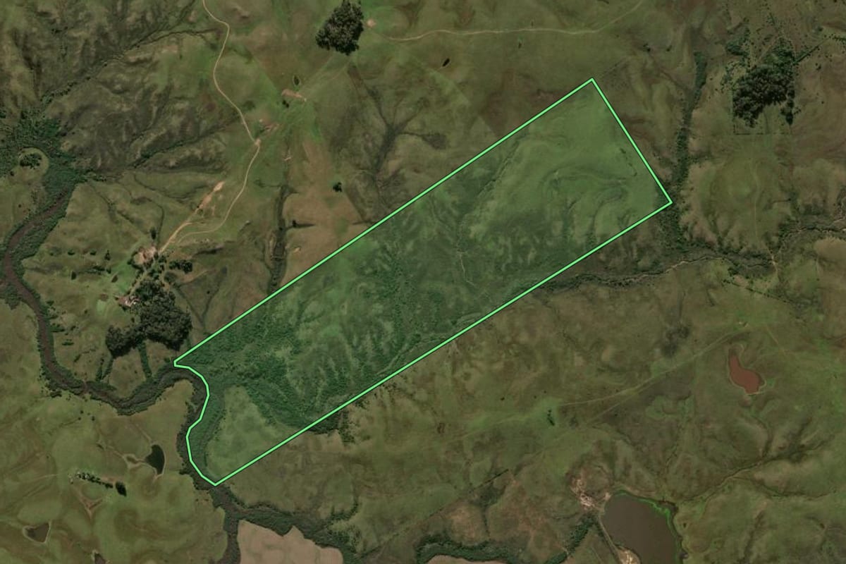 Imagem de satélite do imóvel rural em Bagé (RS), com o contorno declarado no CAR desenhado por cima.