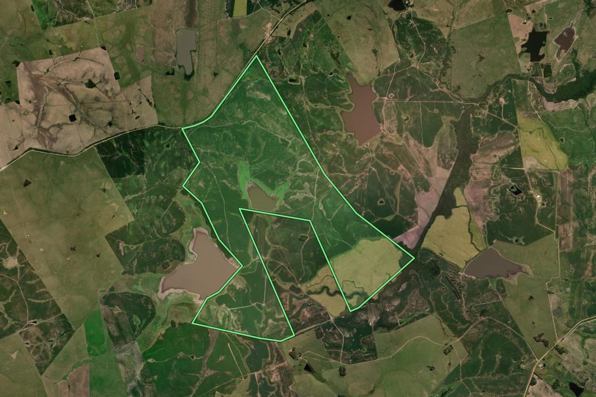Imagem de satélite do imóvel rural em Bagé (RS), com o contorno declarado no CAR desenhado por cima.