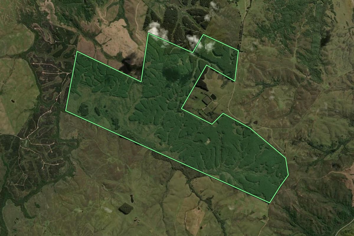 Imagem de satélite do imóvel rural em Bagé (RS), com o contorno declarado no CAR desenhado por cima.