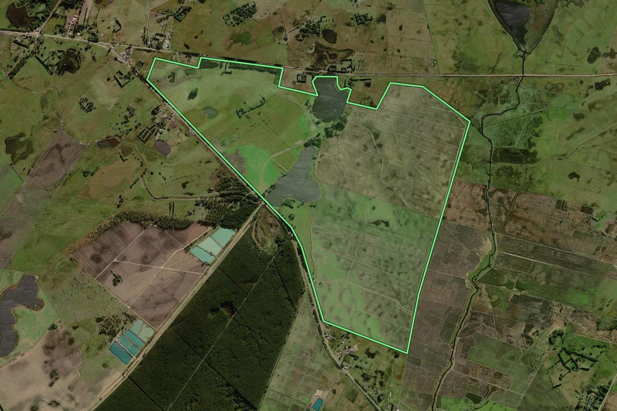 Imagem de satélite do imóvel rural em Balneário Pinhal (RS), com o contorno declarado no CAR desenhado por cima.