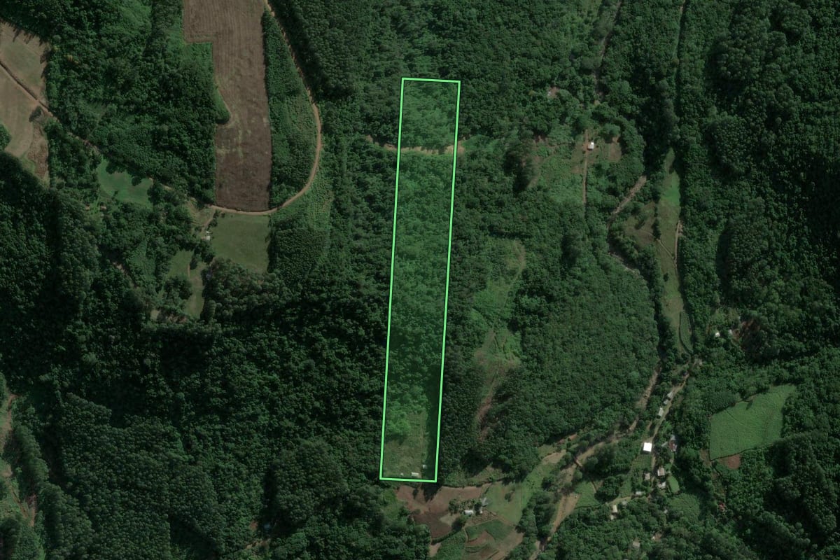 Imagem de satélite do imóvel rural em Barão (RS), com o contorno declarado no CAR desenhado por cima.