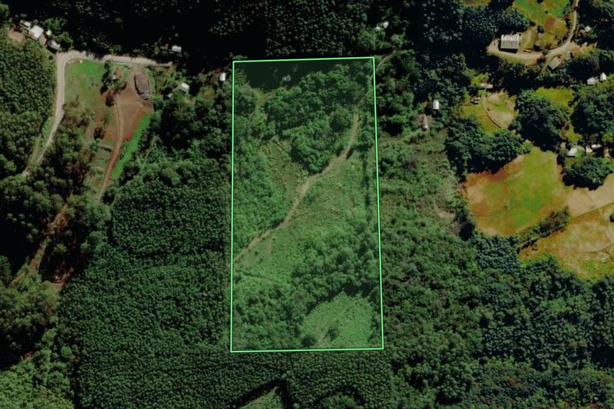 Imagem de satélite do imóvel rural em Barão (RS), com o contorno declarado no CAR desenhado por cima.