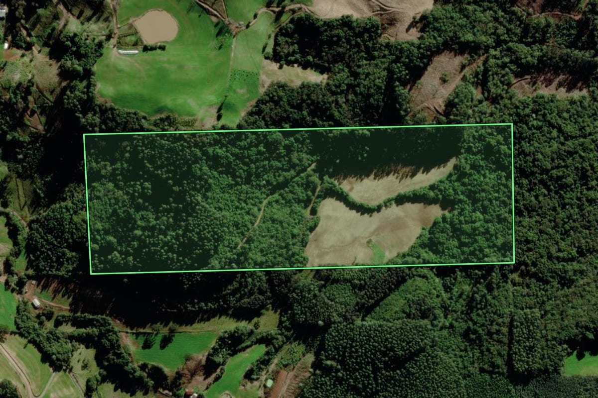 Imagem de satélite do imóvel rural em Barão (RS), com o contorno declarado no CAR desenhado por cima.