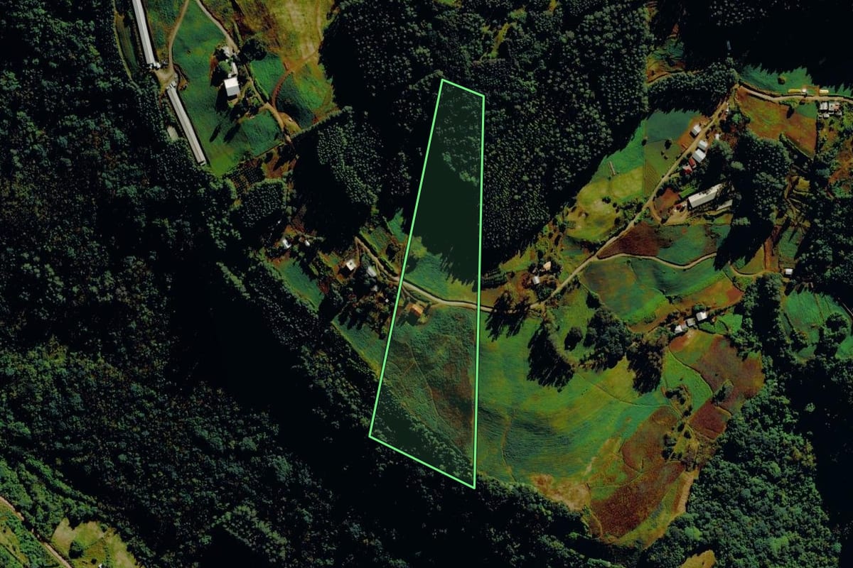 Imagem de satélite do imóvel rural em Barão (RS), com o contorno declarado no CAR desenhado por cima.