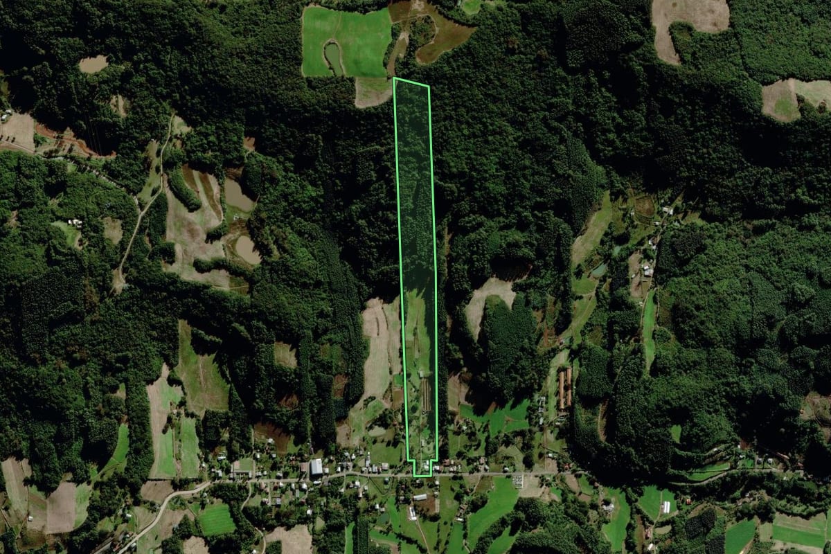 Imagem de satélite do imóvel rural em Barão (RS), com o contorno declarado no CAR desenhado por cima.