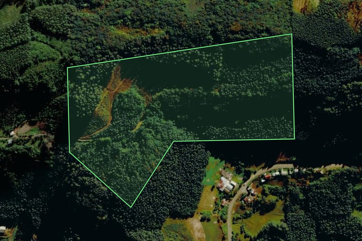 Imagem de satélite do imóvel rural em Barão (RS), com o contorno declarado no CAR desenhado por cima.