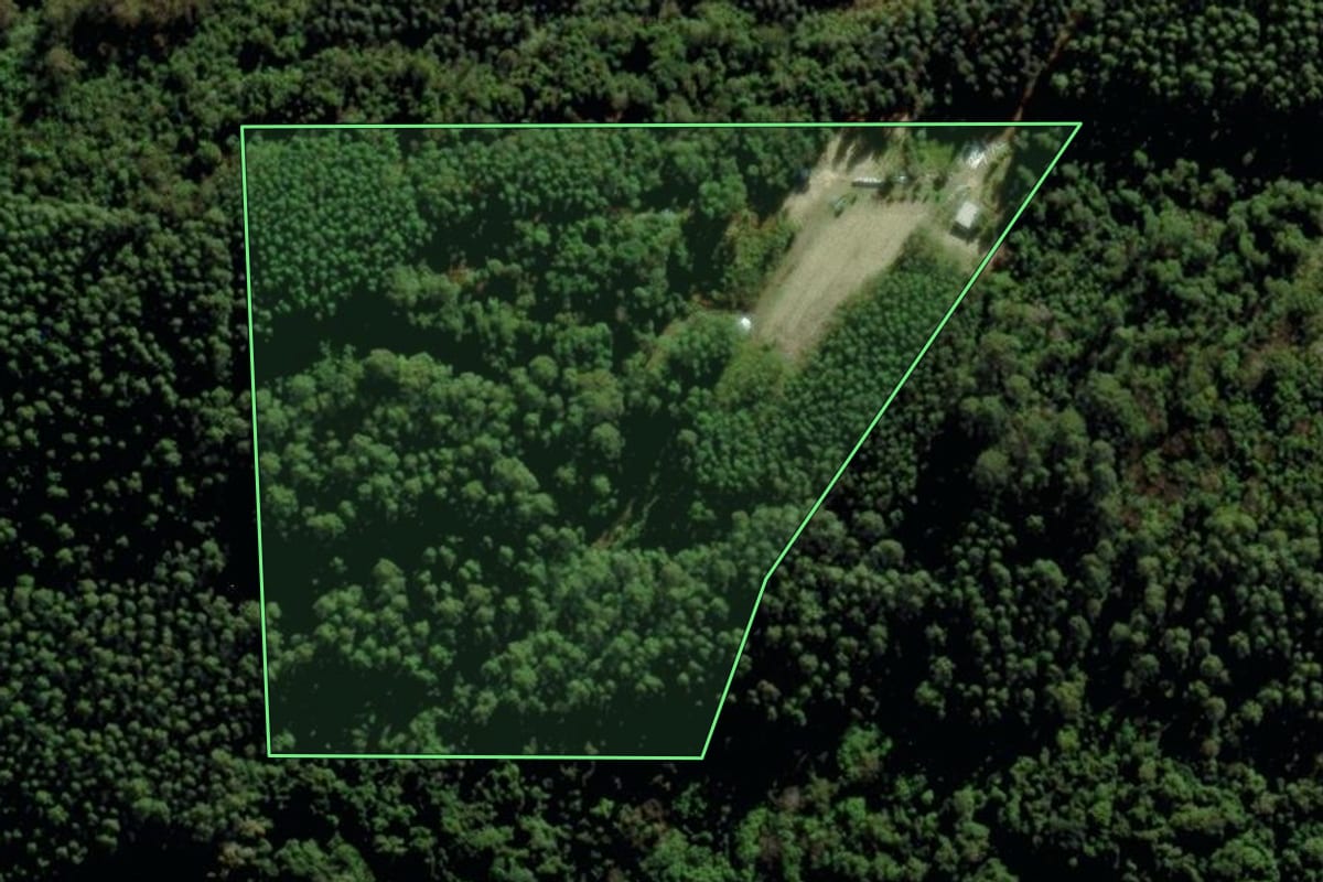 Imagem de satélite do imóvel rural em Barão (RS), com o contorno declarado no CAR desenhado por cima.