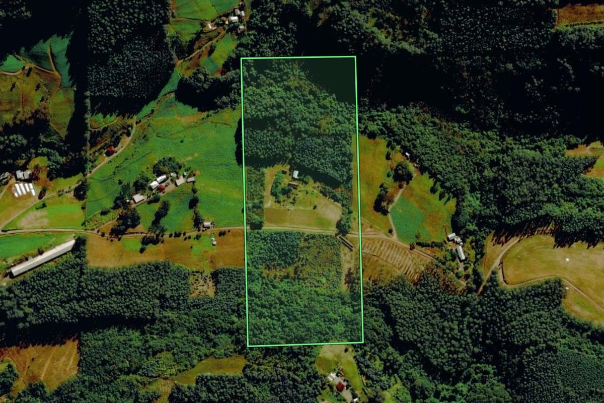 Imagem de satélite do imóvel rural em Barão (RS), com o contorno declarado no CAR desenhado por cima.