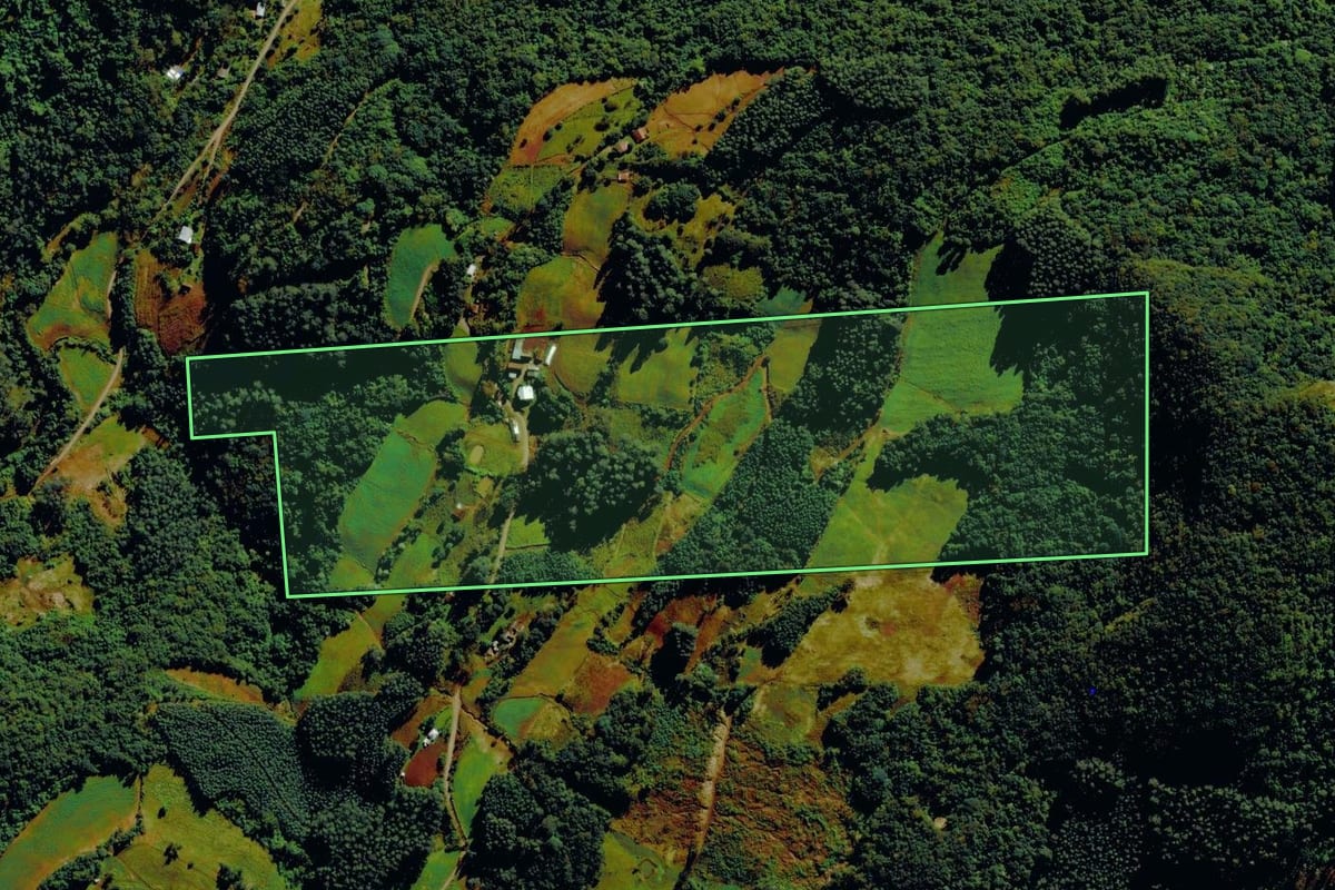 Imagem de satélite do imóvel rural em Barão (RS), com o contorno declarado no CAR desenhado por cima.