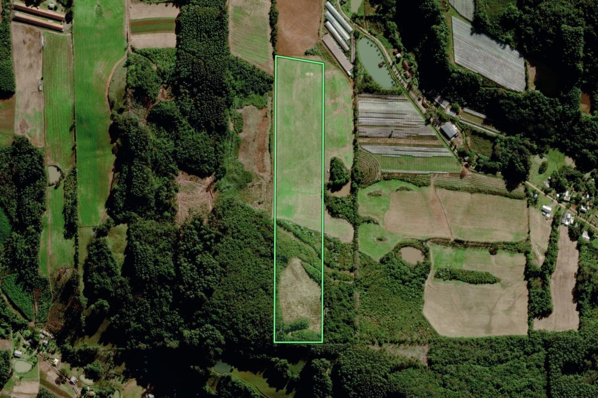 Imagem de satélite do imóvel rural em Barão (RS), com o contorno declarado no CAR desenhado por cima.