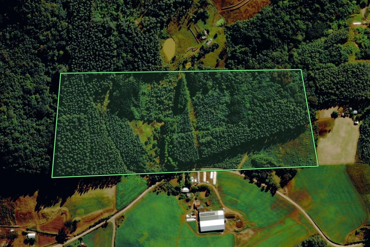 Imagem de satélite do imóvel rural em Barão (RS), com o contorno declarado no CAR desenhado por cima.