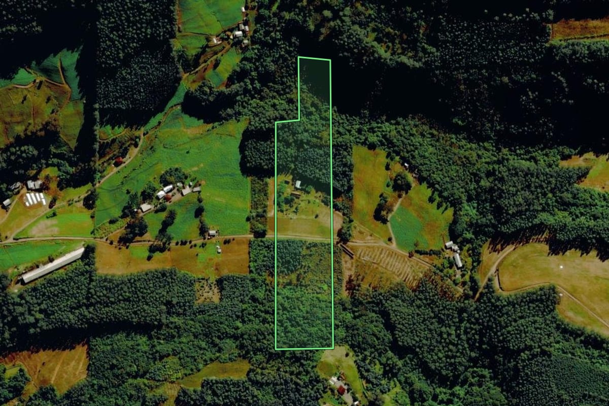 Imagem de satélite do imóvel rural em Barão (RS), com o contorno declarado no CAR desenhado por cima.