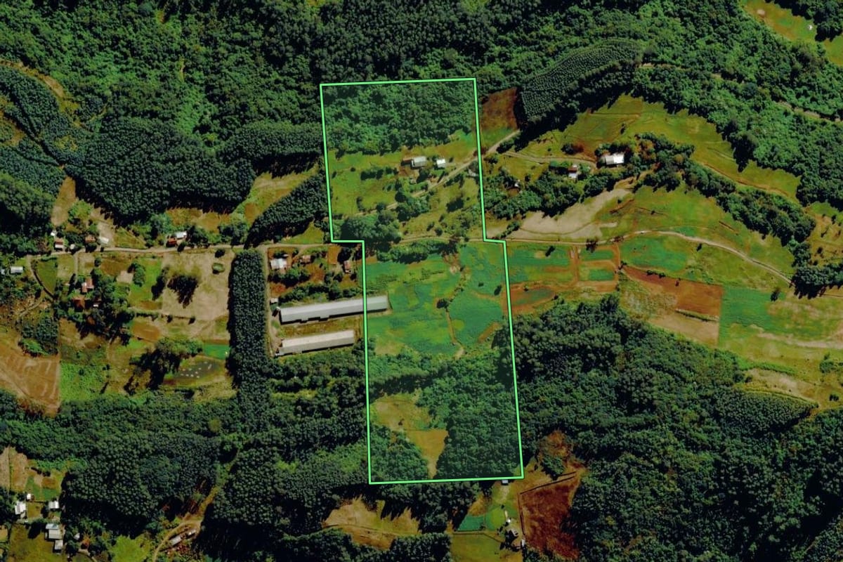 Imagem de satélite do imóvel rural em Barão (RS), com o contorno declarado no CAR desenhado por cima.